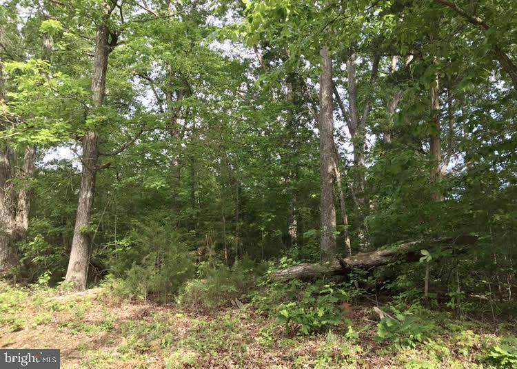 Hensley Road - Photo 1