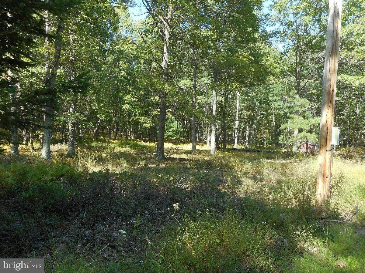 933 Mitchell Mountain Road, Rt 14/1 - Photo 1