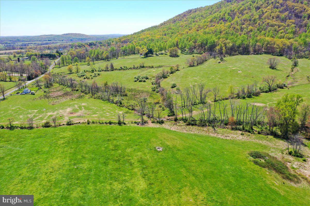10512 Ramey Road - Photo 1