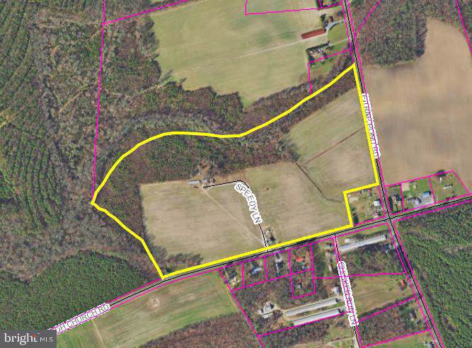 16145 Shiloh Church Road - Photo 1