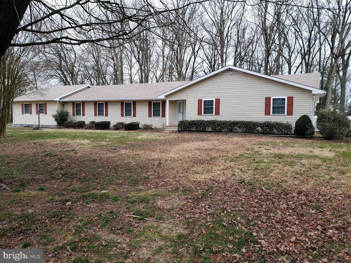 10446 Orly Drive - Photo 1