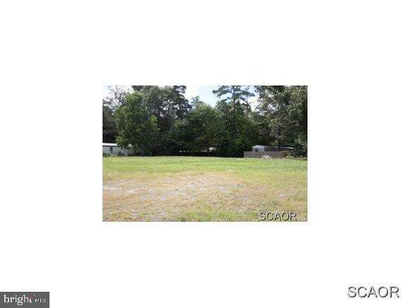 26114 John J Williams Highway - Photo 1