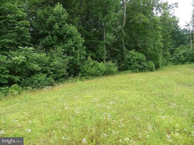 Lot 20A Stanley Drive - Photo 1