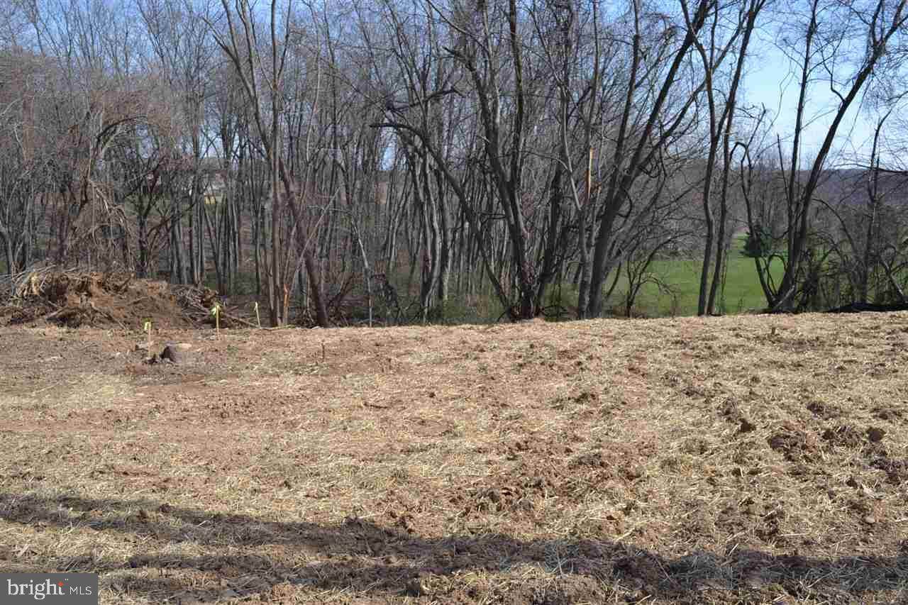 Vacant Land New Park Road - Photo 1