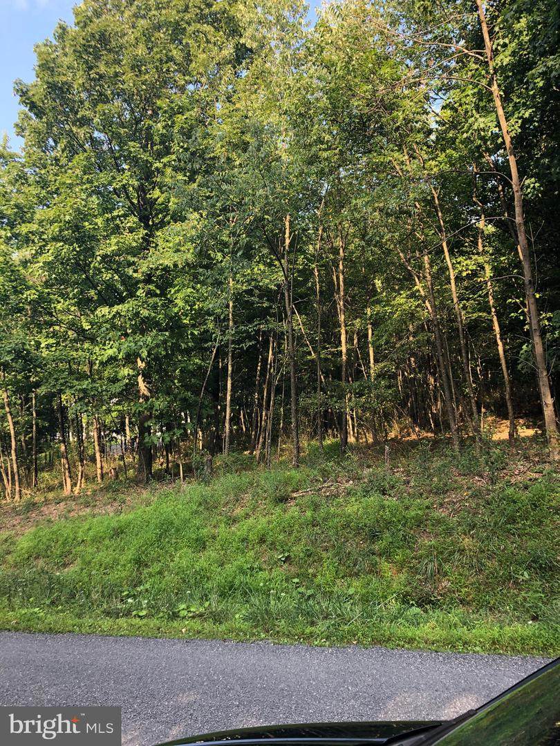 Harwood Drive - Photo 1