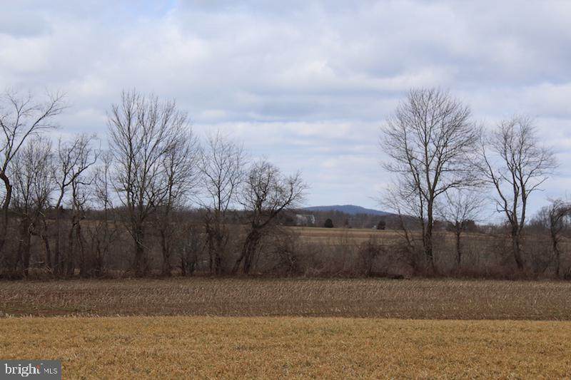 0 Irish Meetinghouse Road - Photo 1