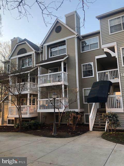 10809 Hampton Mill Terrace - Photo 1