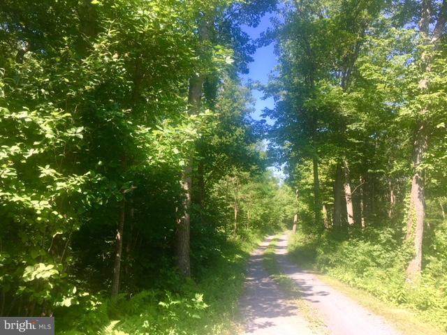 Lot 5K Wardensville Pike - Photo 1