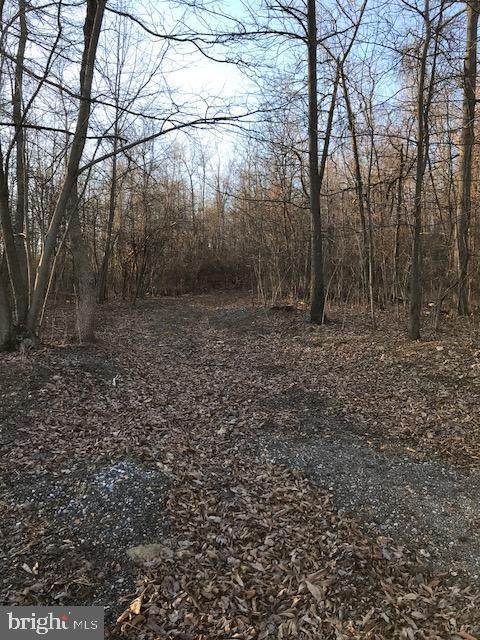 Back Woods Road - Photo 1 Back Woods Road - Photo 1