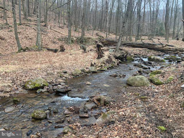 1045 Jessie Ours Road - Photo 1