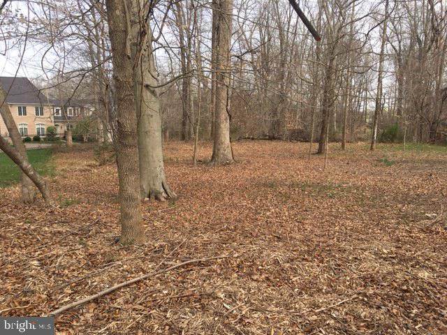 9329 Belle Terre Way - Photo 1