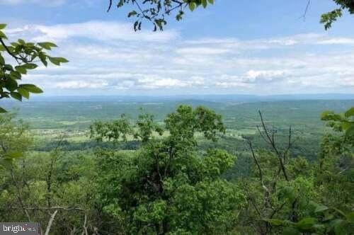 Lot 156 Bobcat Trail - Photo 1