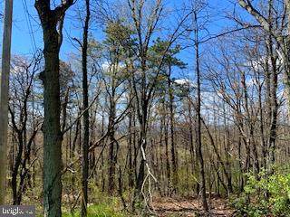 0 Cub Trail - Photo 1