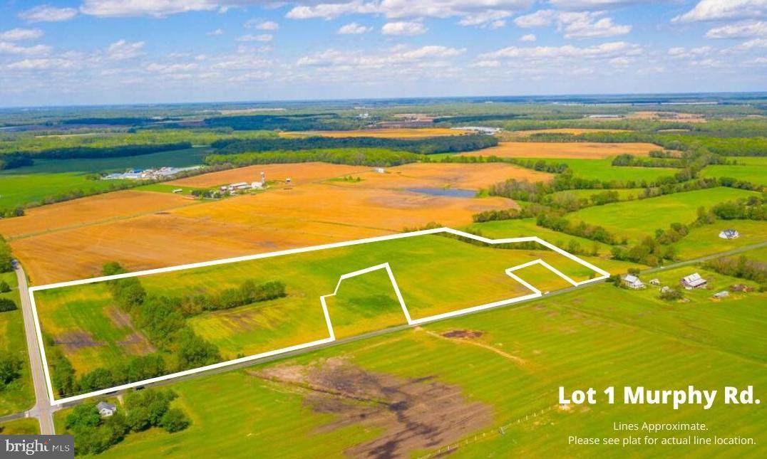 Lot 1 Murphy Road - Photo 1