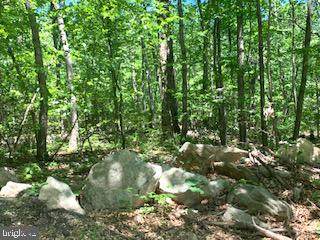 0 Elk Trail - Photo 1
