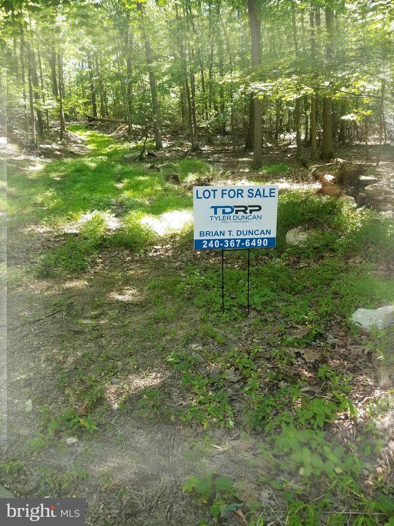 Etzler Map 56 Parcel Etzler Road - Photo 1