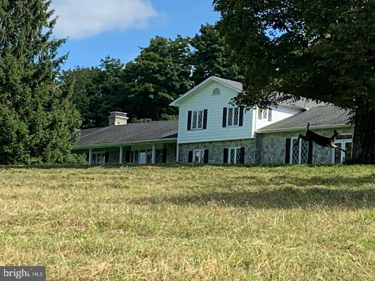 1000 White Knoll Rd - Photo 1