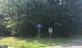Stage Junction Road - Photo 1