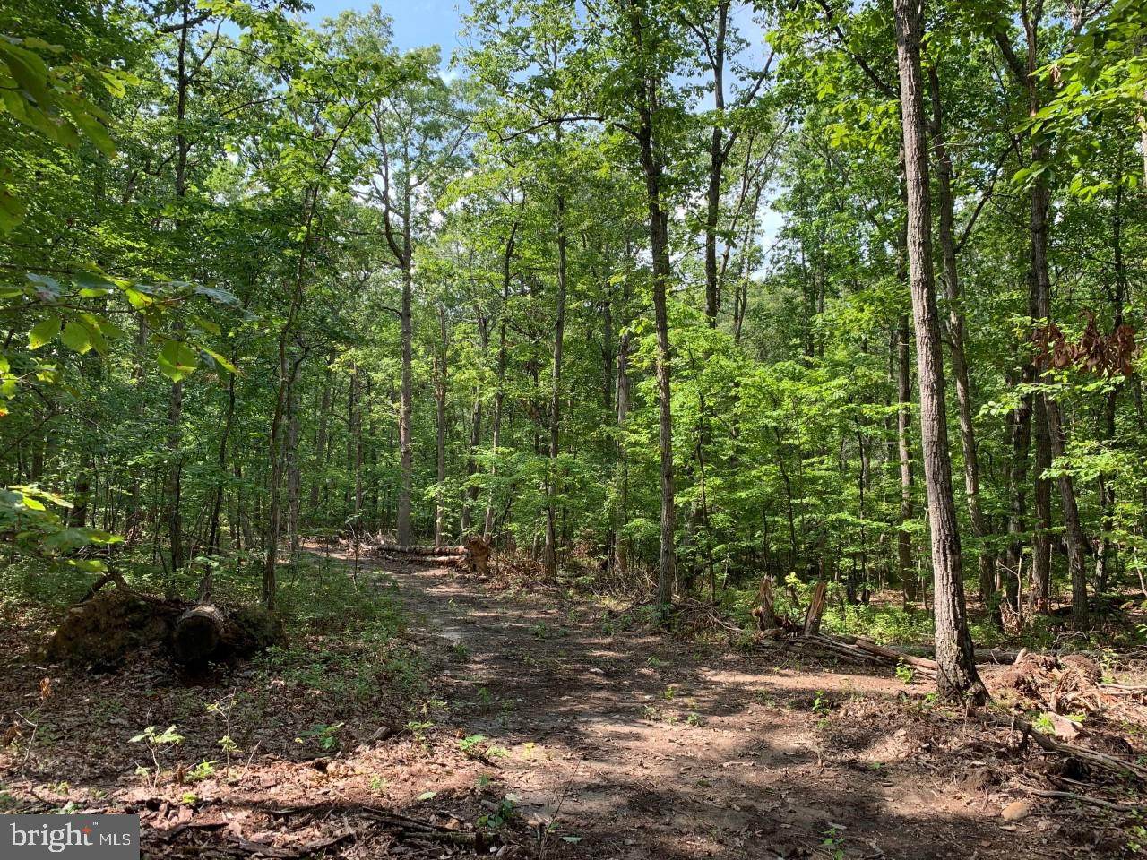 Independence Road - Photo 1