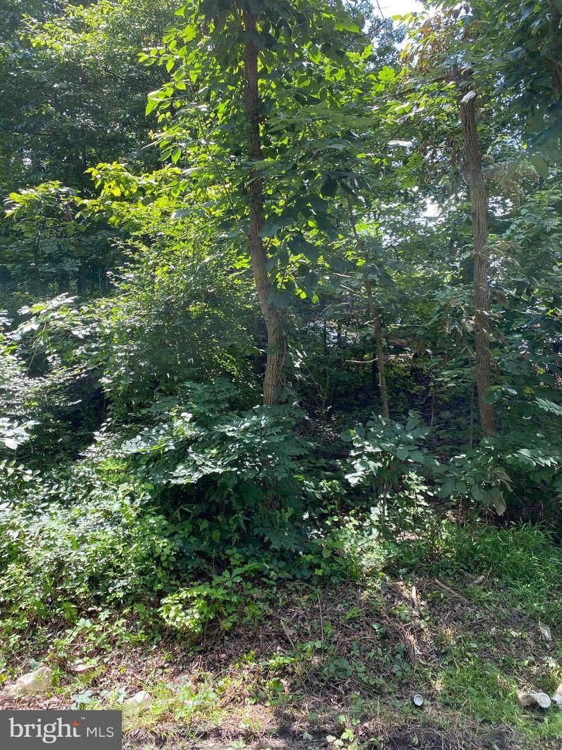 3905 Oakdale Circle - Photo 1