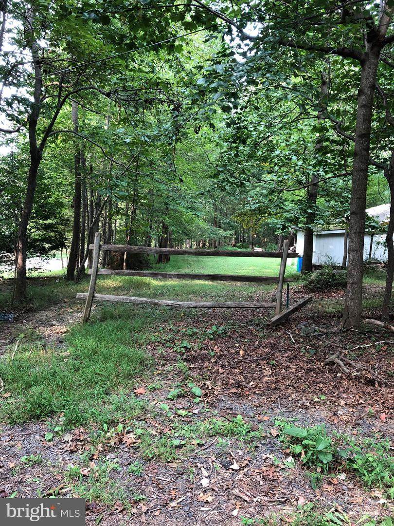 Pine Tree Dr - Photo 1