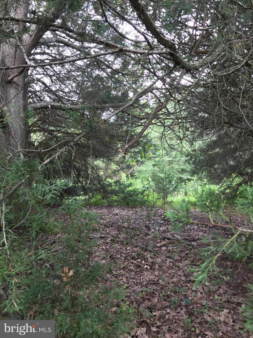 TBD Lot B5 River View Drive - Photo 1
