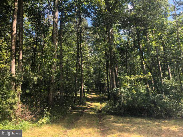 Summerfield Hills - Photo 1