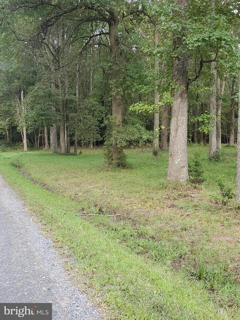 Driftwood Ln - Photo 1