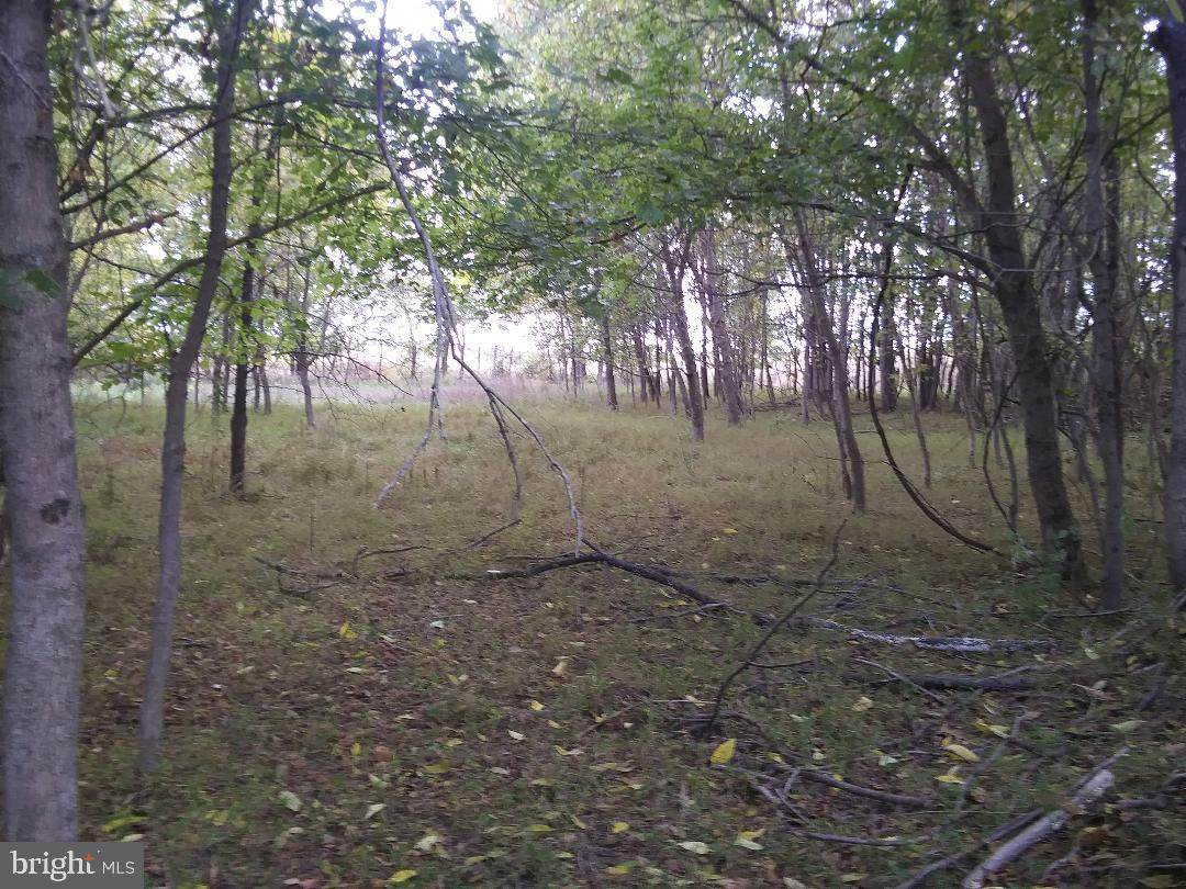 Lot B Powers Drive - Photo 1