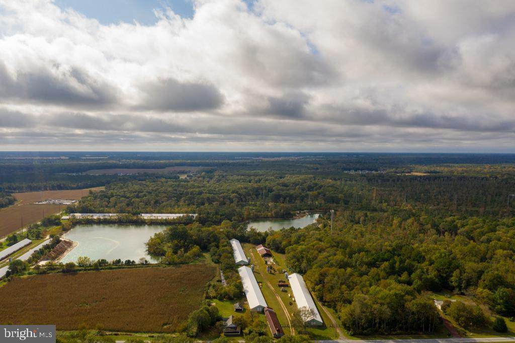 24358 Lawson Road - Photo 1