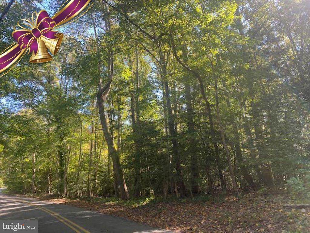 10375 Breeden Rd - Photo 1