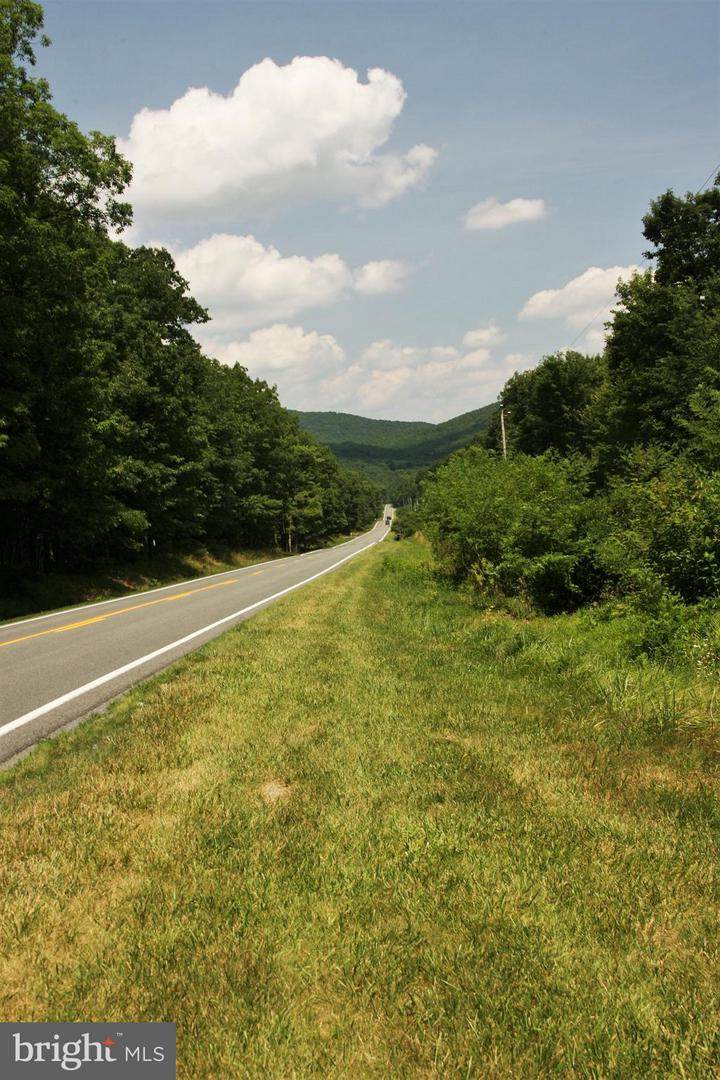 Wardensville Pike - Photo 1
