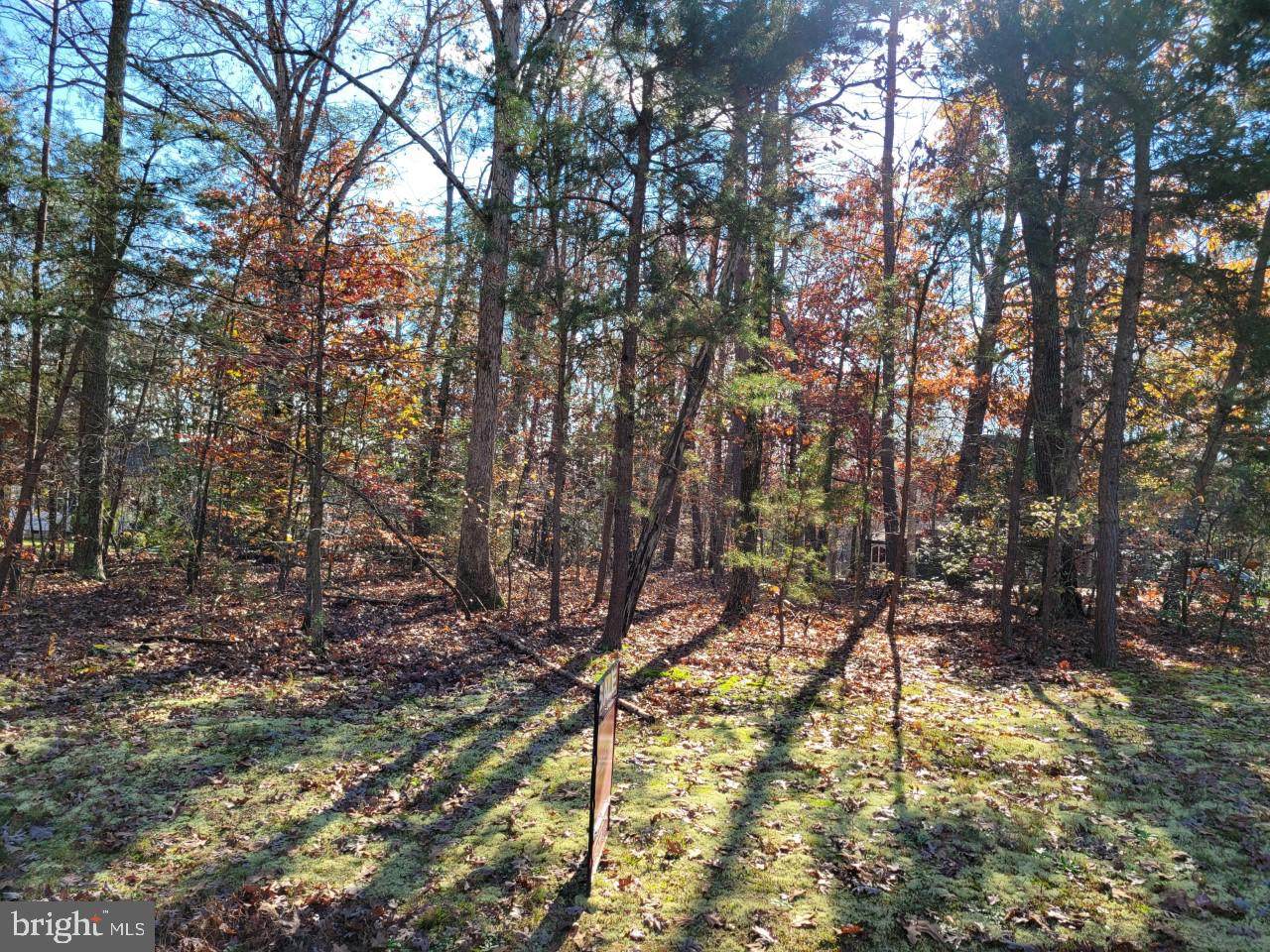 725 Glen Cove Drive - Photo 1