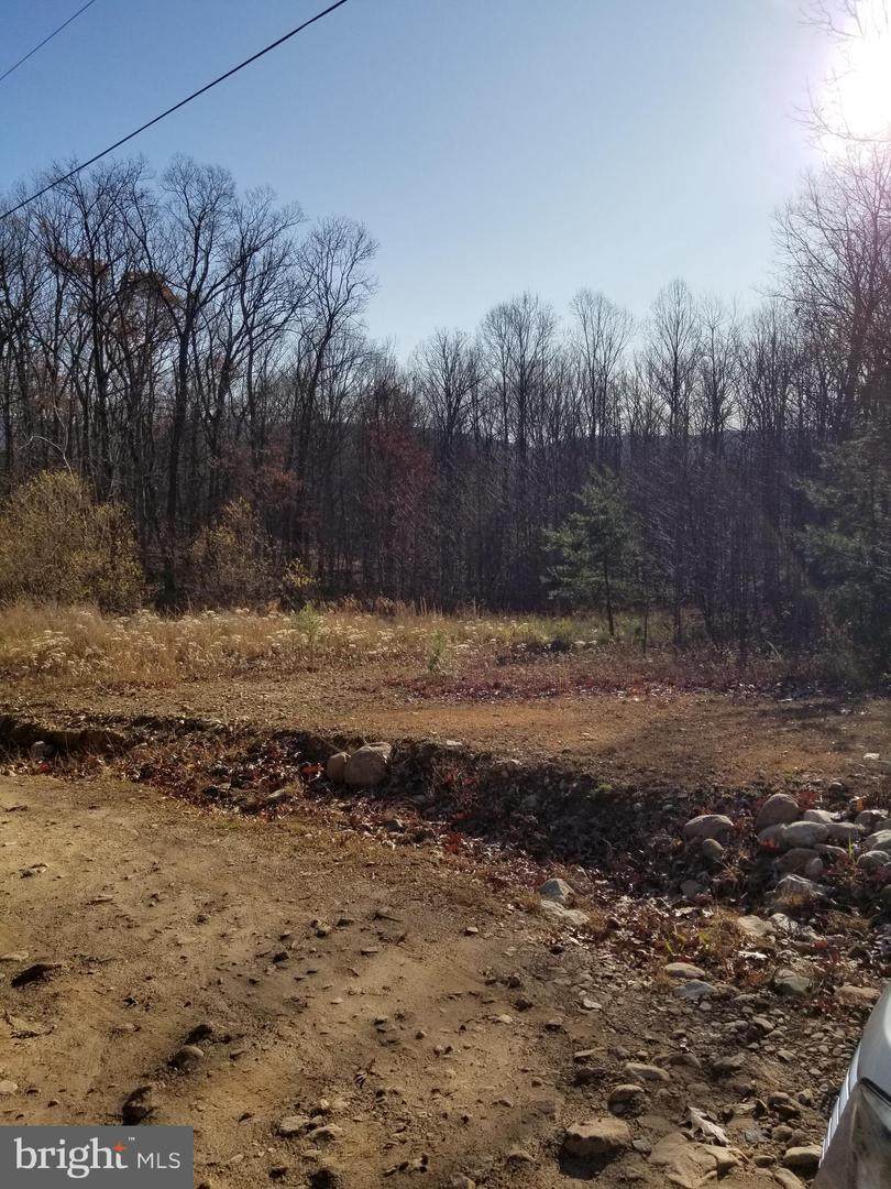 LOT 9A Falconwood Drive - Photo 1
