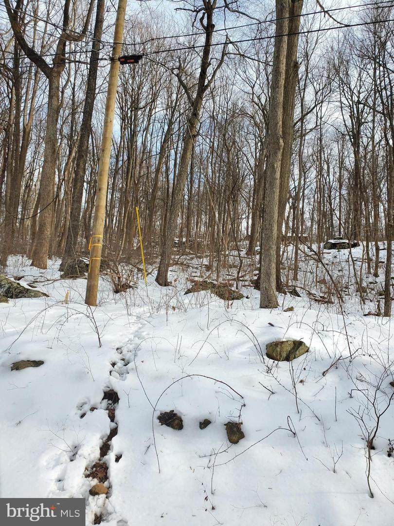 Lot 430, Chipmunk Trail - Photo 1