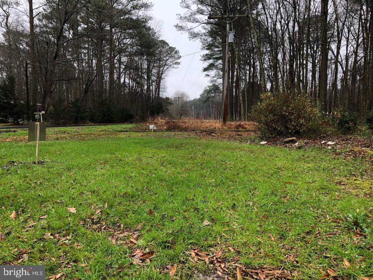 29013 Polks Road - Photo 1