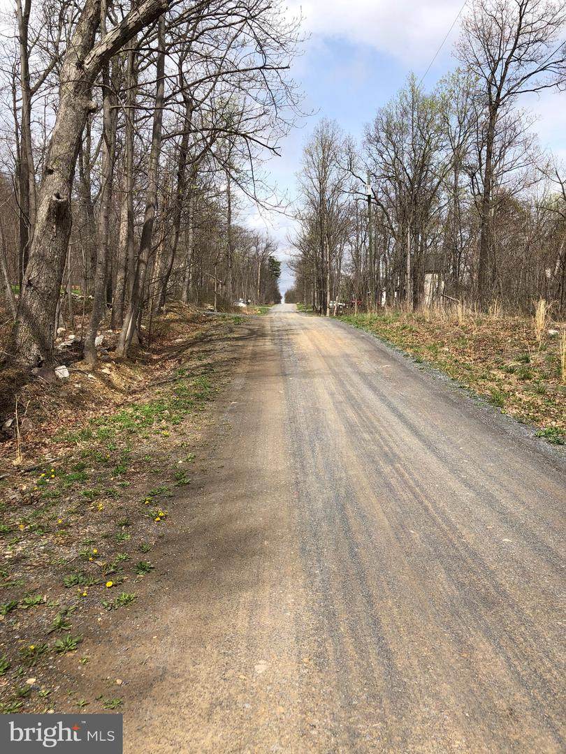 Bluebird Drive - Photo 1