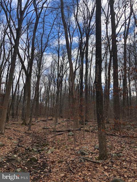 0 Camp Green Lane Road - Photo 1