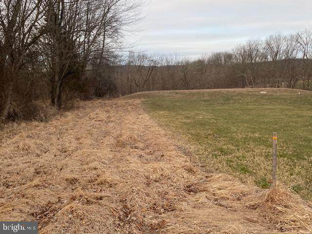 Lot 2 Frogtown Road - Photo 1
