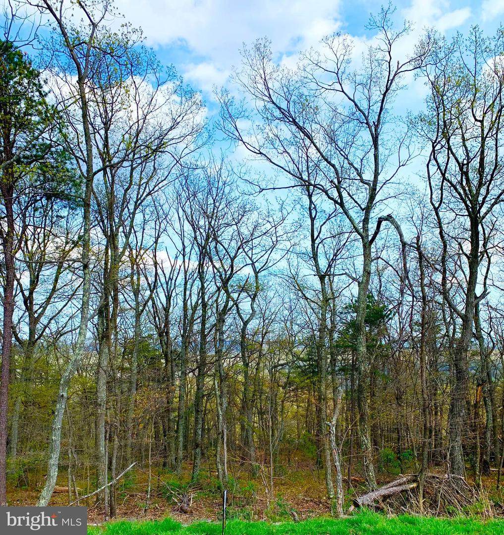 LOT 1 Dogwood Trail - Photo 1