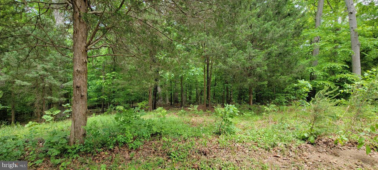 7270 Simms Landing Road - Photo 1
