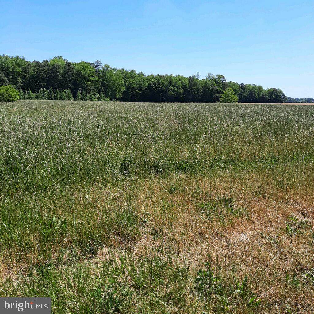 Zoar Rd - Photo 1