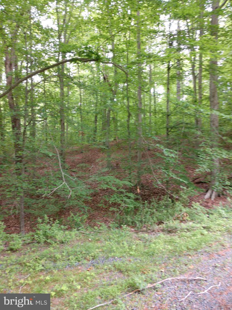 11657 Thunder Drive - Photo 1
