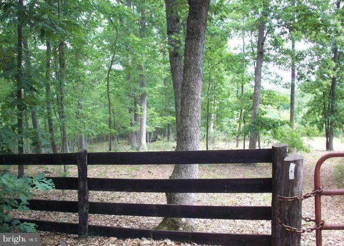 296 Blossom Road - Photo 1