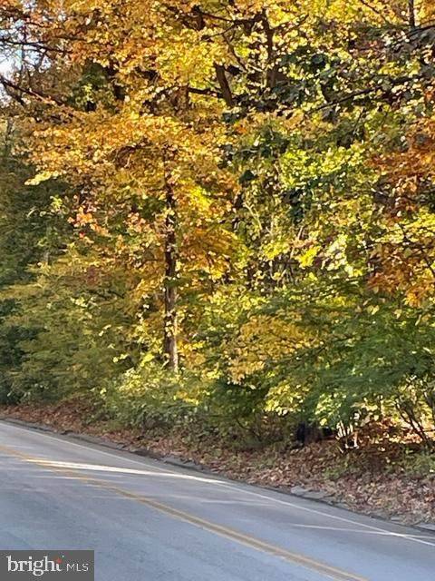 760 Old Eagle School Road - Photo 1