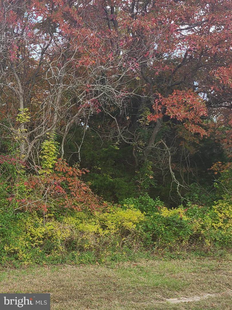 71 Factory Road - Photo 1
