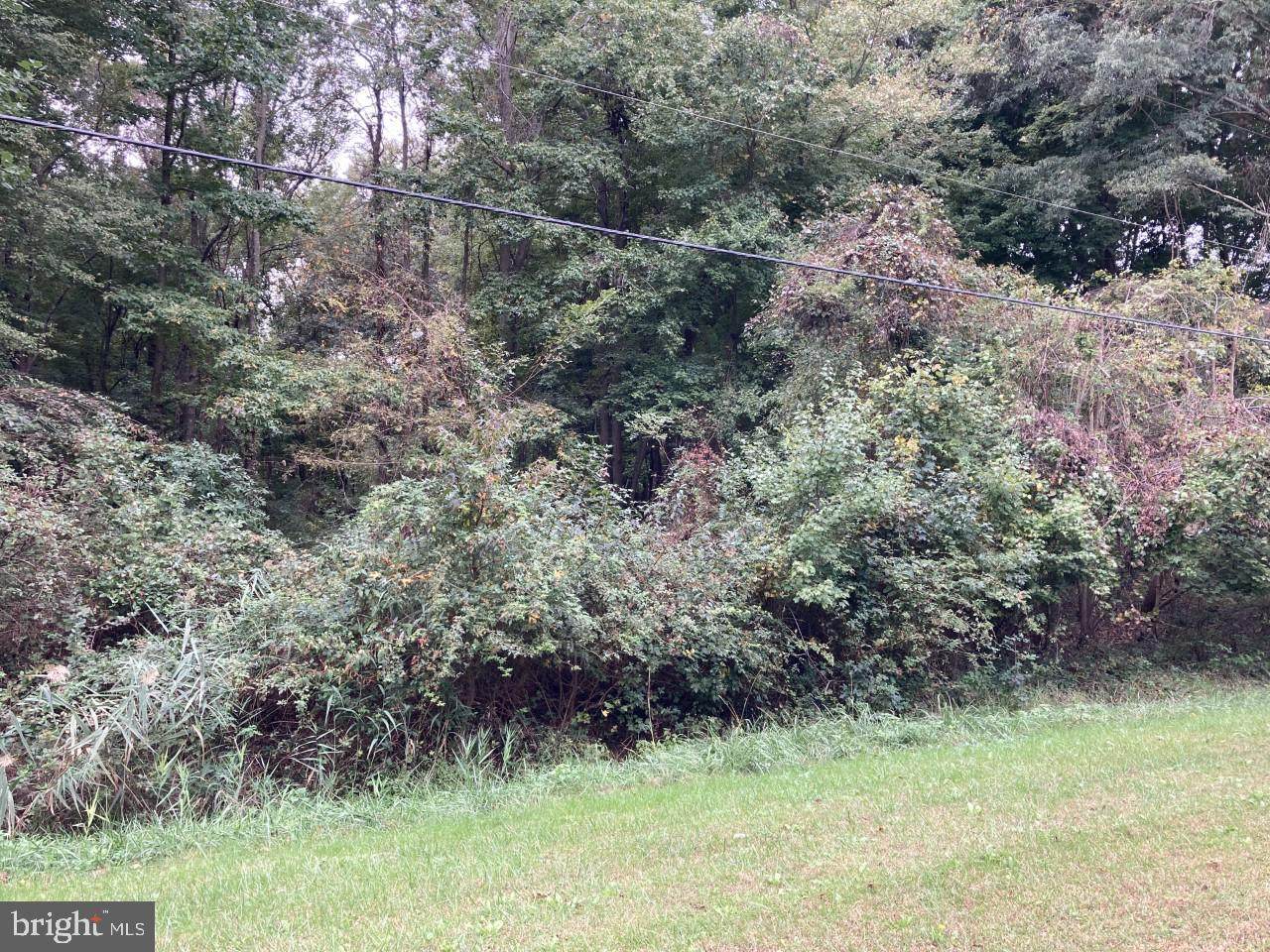 Lot 60, 61 And 62 Buck Neck Landing Road - Photo 1