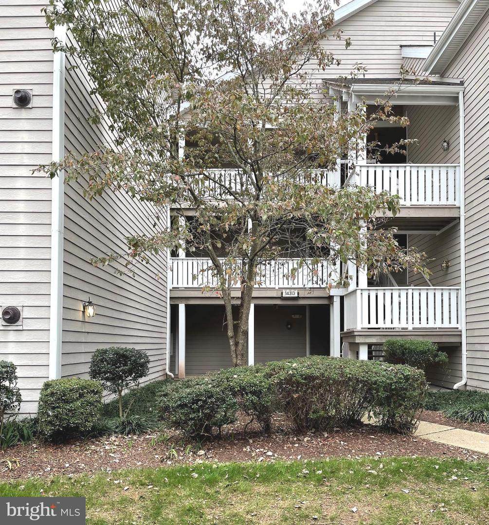 14313 Climbing Rose Way - Photo 1
