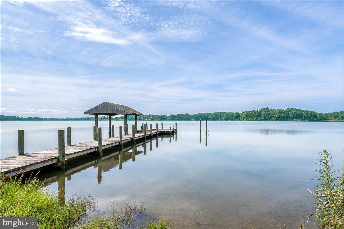 46788 Glen Mary Farm - Photo 1