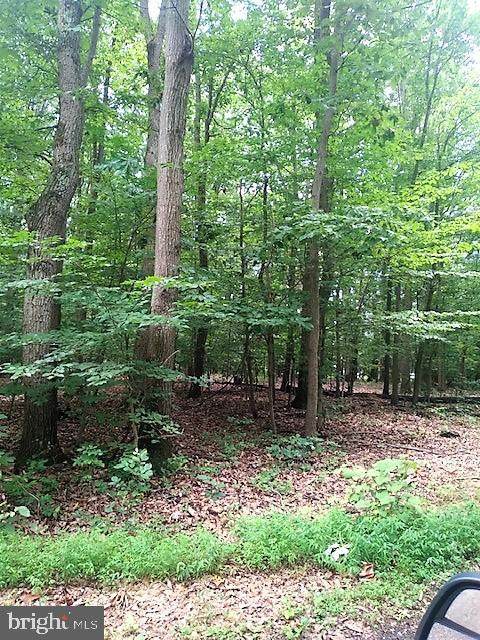 Big Woods Road - Photo 1